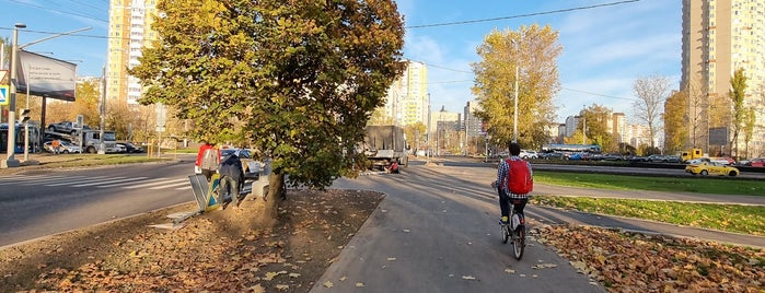 Бескудниковский бульвар is one of Сохраненные.