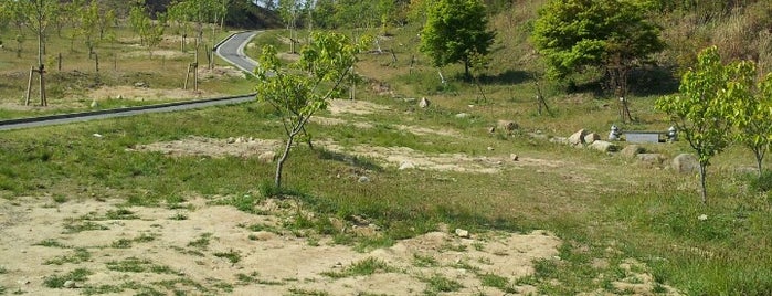 広島中央森林公園 is one of สถานที่ที่ ZN ถูกใจ.