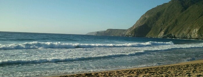 Playa Grande Quintay is one of Posti che sono piaciuti a Esteban.
