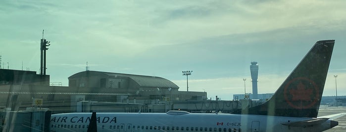 Gate C50 is one of Vern : понравившиеся места.