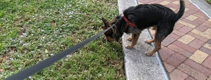 Miami Shores Memorial Park is one of Lugares favoritos de miamism.