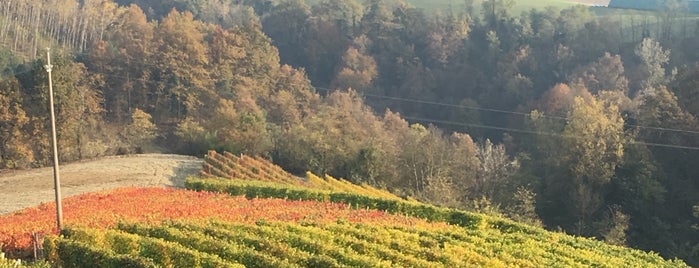 Agriturismo Tra Sole e Vigne is one of Orte, die Vlad gefallen.