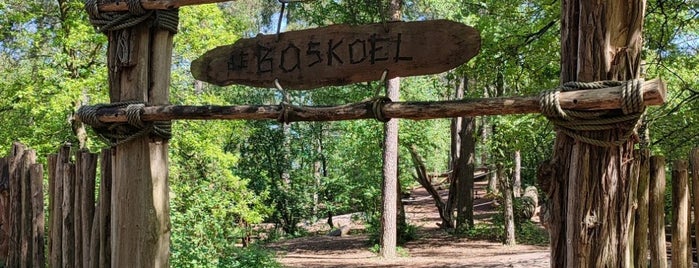 Speeltuin De Boskoel is one of A local’s guide: 48 hours in Bergen, Nederland.