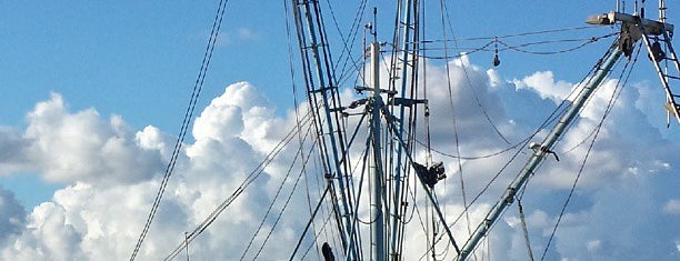 Apalachicola Riverfront Park is one of Jeff'in Beğendiği Mekanlar.