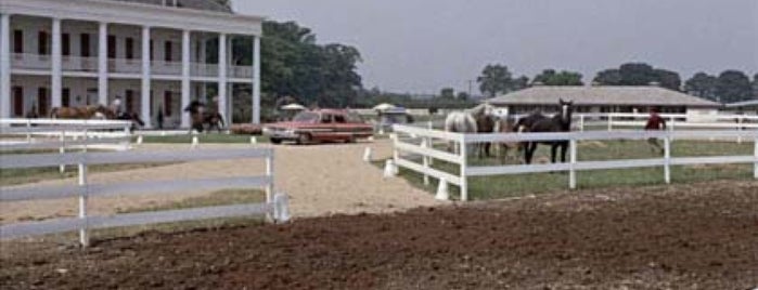 Pinewood Backlot is one of Goldfinger (1964).