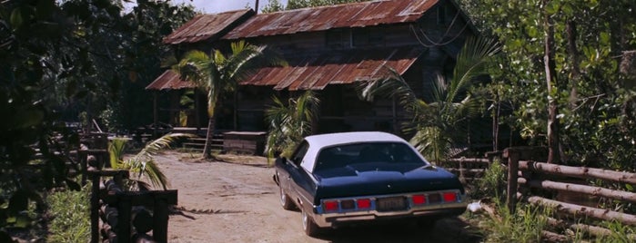 Jamaica Swamp Safari Village is one of Live and Let Die (1973).