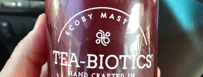 Scoby Masters Tea Biotics Kombucha is one of Ricks List.