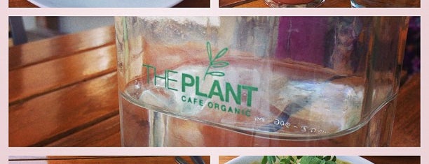 The Plant Cafe Organic is one of Lunch and Libations Near Mad Valley.