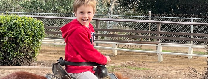 Griffith Park Pony Rides is one of LAX.