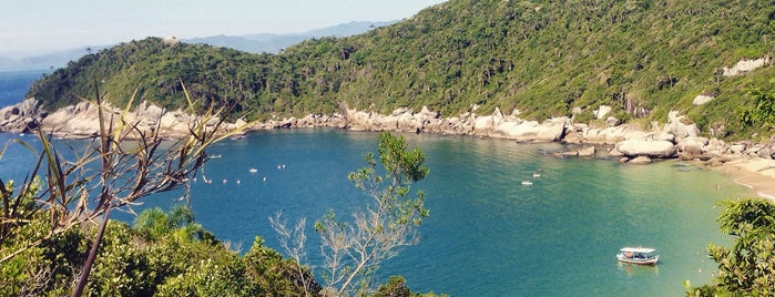 Praia da Tainha is one of Bombinhas.