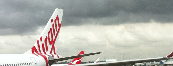 Gate 37 is one of Sydney Airport Watchlist.