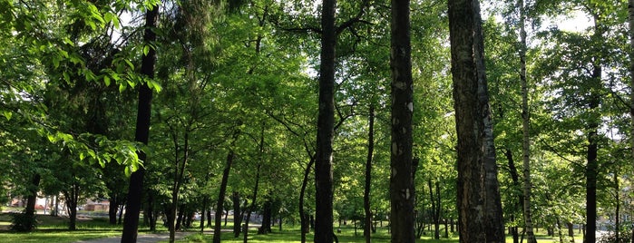 Губернаторский сад is one of Увидеть Петрозаводск.