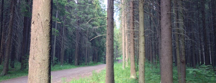 Курган is one of Park / plaza / outdoors.