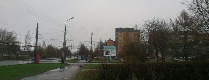 Остановка «наб. Варкауса» is one of Дом - Школа.