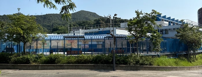 Tai Po Swimming Pool is one of Place to go 🤩.