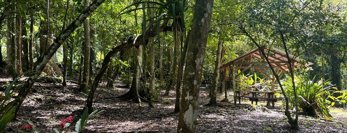 Blue Hole National Park is one of Belize.