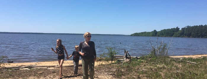 Santee National Wildlife Refuge Bluff Unit is one of Lieux qui ont plu à Lizzie.