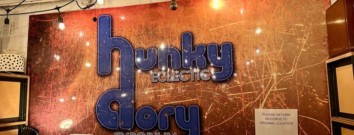 Hunky Dory is one of Vinyl Shops.