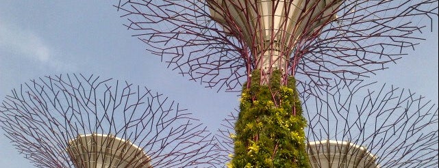 Gardens by the Bay is one of Singapore Eats.