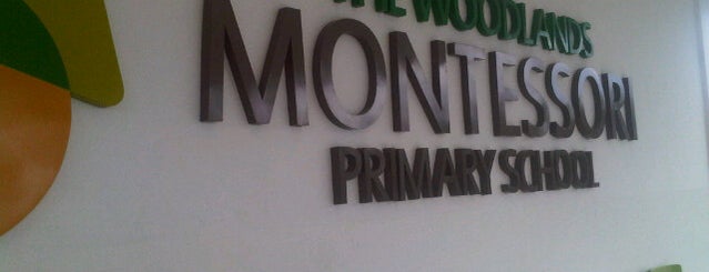 The Woodlands Montessori Primary School is one of Kid's heaven(s).