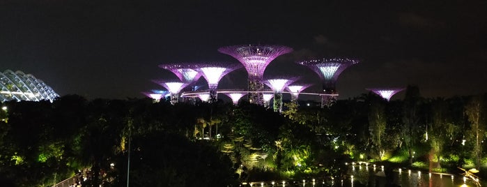 Rooftop Bar | Supertree By Indochine is one of Singapour.