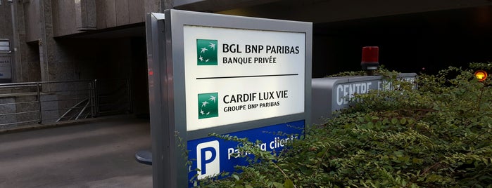 Cardif Lux Vie is one of BNP Paribas Cardif worldwide.