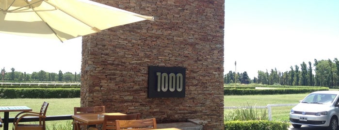 1000 Rosa Negra is one of Restorante.