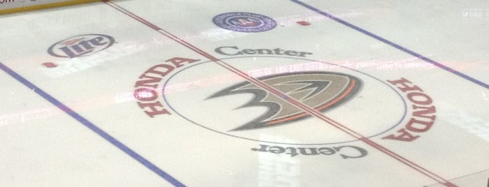 ホンダセンター is one of NHL Arenas.