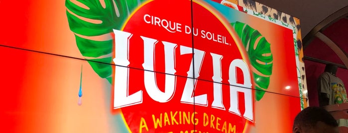 Cirque Du Soleil - Luzia is one of Locais curtidos por Paula.