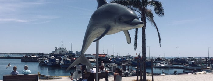 Estuário do Sado is one of restaurantessetubal.