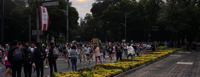 Reforma - Chapultepec is one of Tempat yang Disukai Isaac.