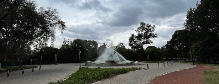 Fuente Físico-Nuclear is one of CDMX.