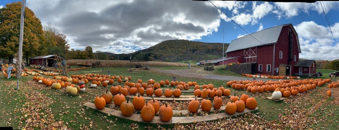 Donnelly Farm Stand is one of Upstate Fall.