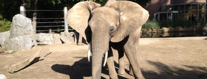 Zoo Duisburg is one of Ruhr West.