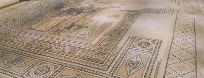 Zeugma Mosaic Museum is one of Carl’s Liked Places.
