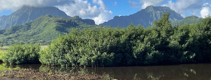 Kawainui Marsh is one of Oahu.