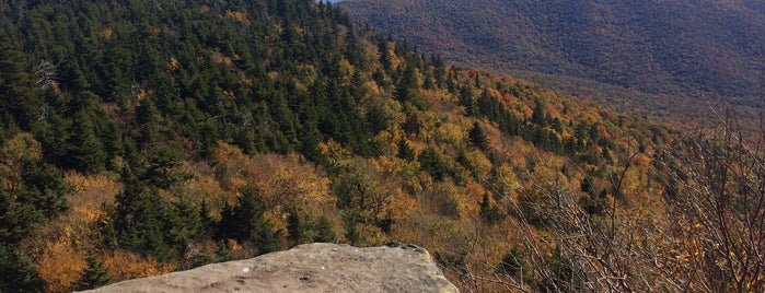 Sherman's Lookout, Indian Head Mountain - Catskill Forest Preserve is one of Orte, die Trevor gefallen.