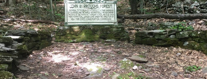 John Burroughs Memorial State Historic Site is one of upstate.