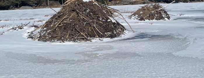 North-South Lake is one of Saturday Upstate.