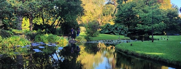 National Botanic Gardens is one of Dublin Favourite Sights.