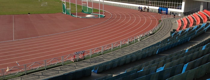 Стадион им. Е. Елесиной is one of Карта спортсмена.