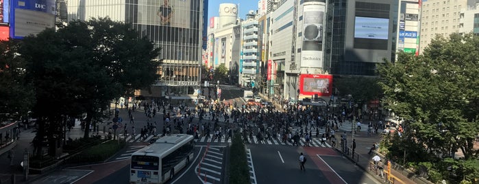 Shibuya Crossing is one of Crazy Places.