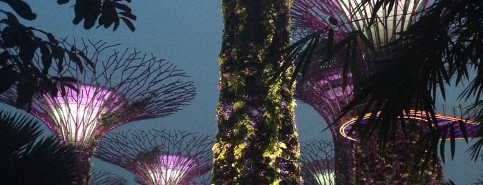 Gardens by the Bay is one of Tempat yang Disukai Mr..