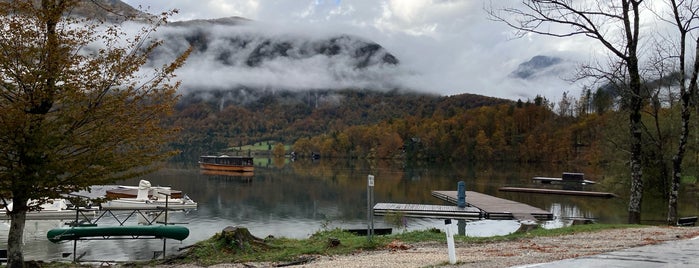 Bohinjsko jezero is one of Locais curtidos por Ekaterina.