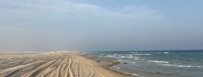 Camping & Safari (خور العديد - شاطئ سيلين) is one of Qatar.