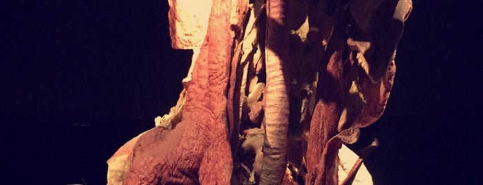 Body Worlds: The Original Exhibition is one of Culture.