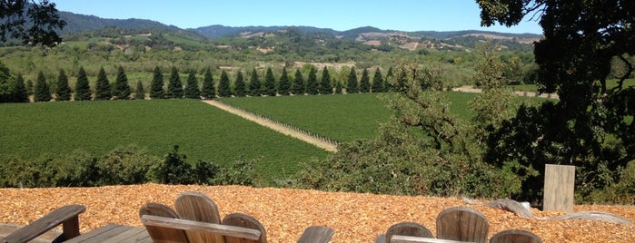 Copain Wines is one of Sonoma Wineries.