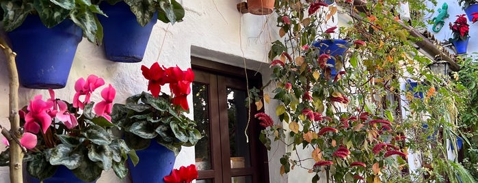 Patios de San Basilio is one of Cordoba, Spain.