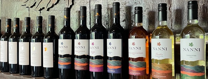 Bodega Nanni is one of Argentina Vacation Ideas.