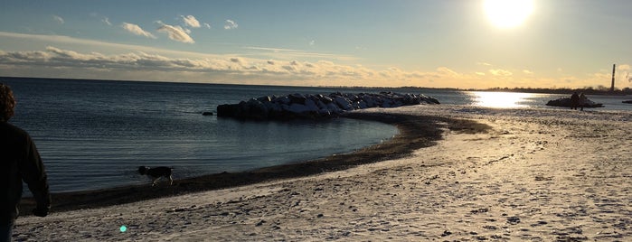 Woodbine Beach is one of Tempat yang Disukai Andrea.